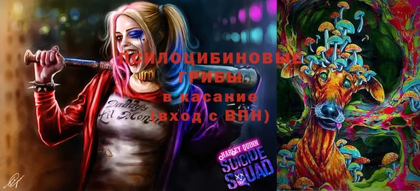 гашиш Магас