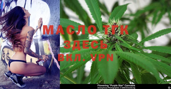 ПСИЛОЦИБИНОВЫЕ ГРИБЫ Медвежьегорск