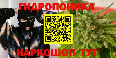 эйфоретик Донецк